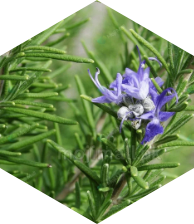 tab-featured-image